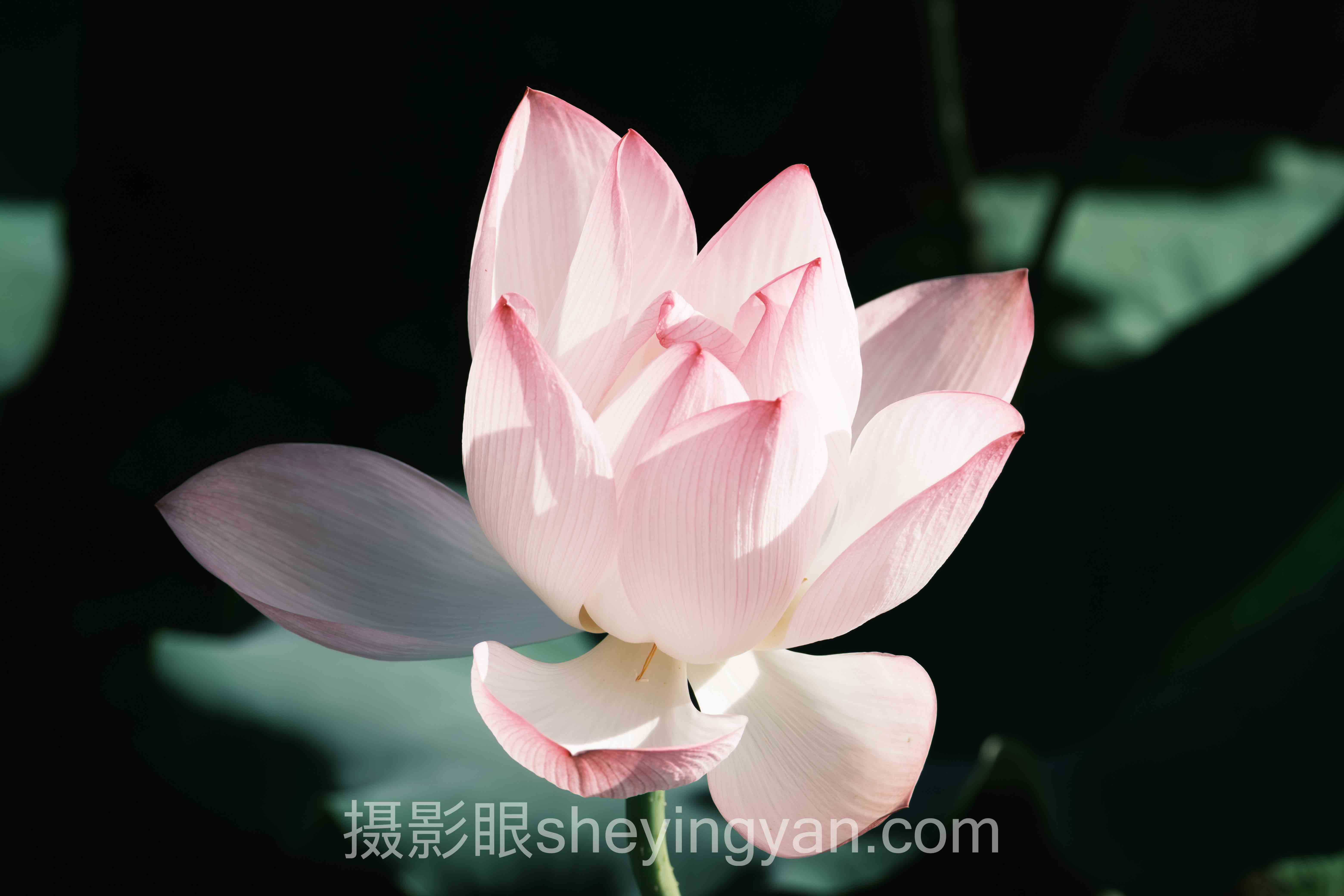 对话行业专家：养成摄影眼的关键洞察与前瞻