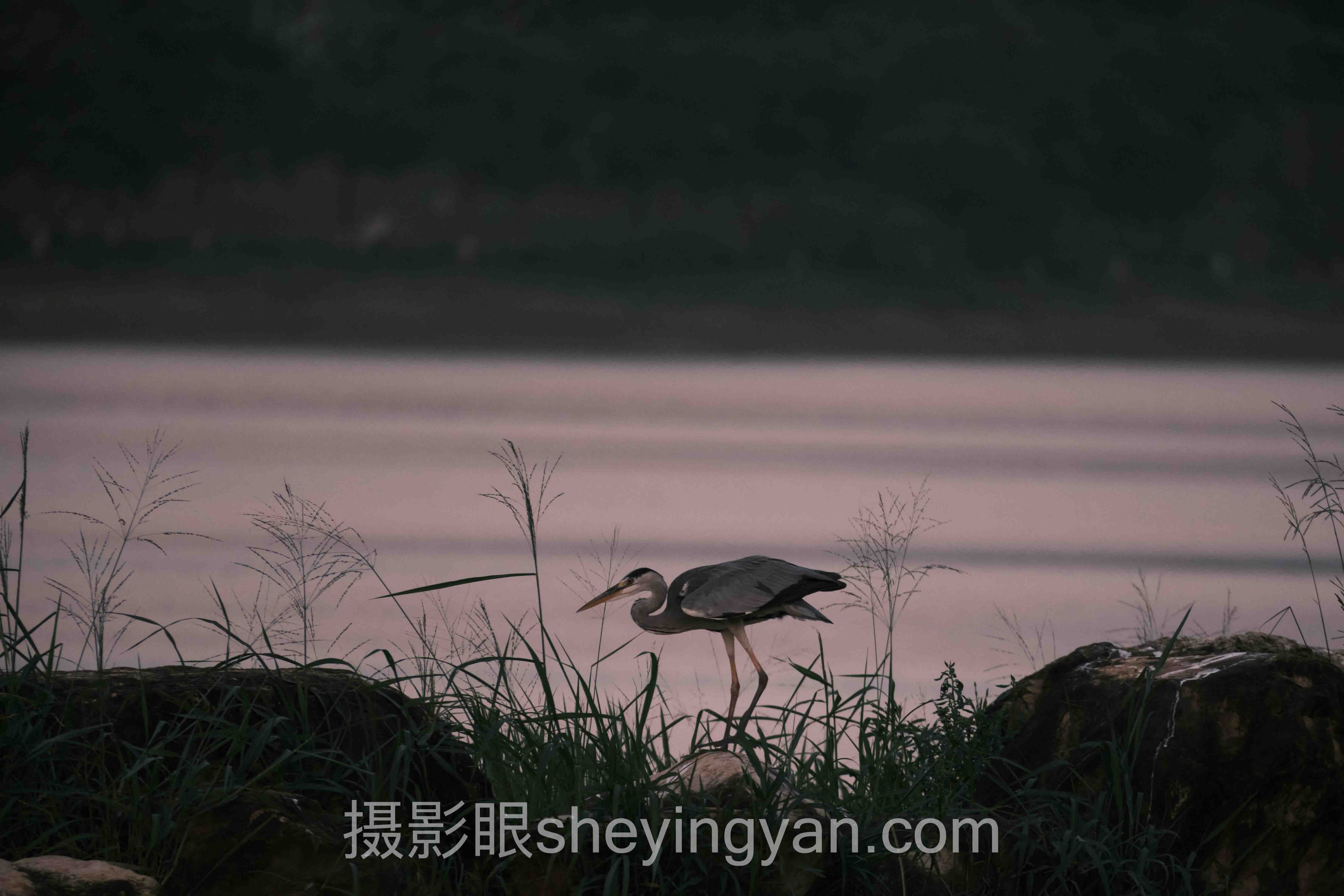 照片调色速成教程主流方案横向对比:哪个更适合你?