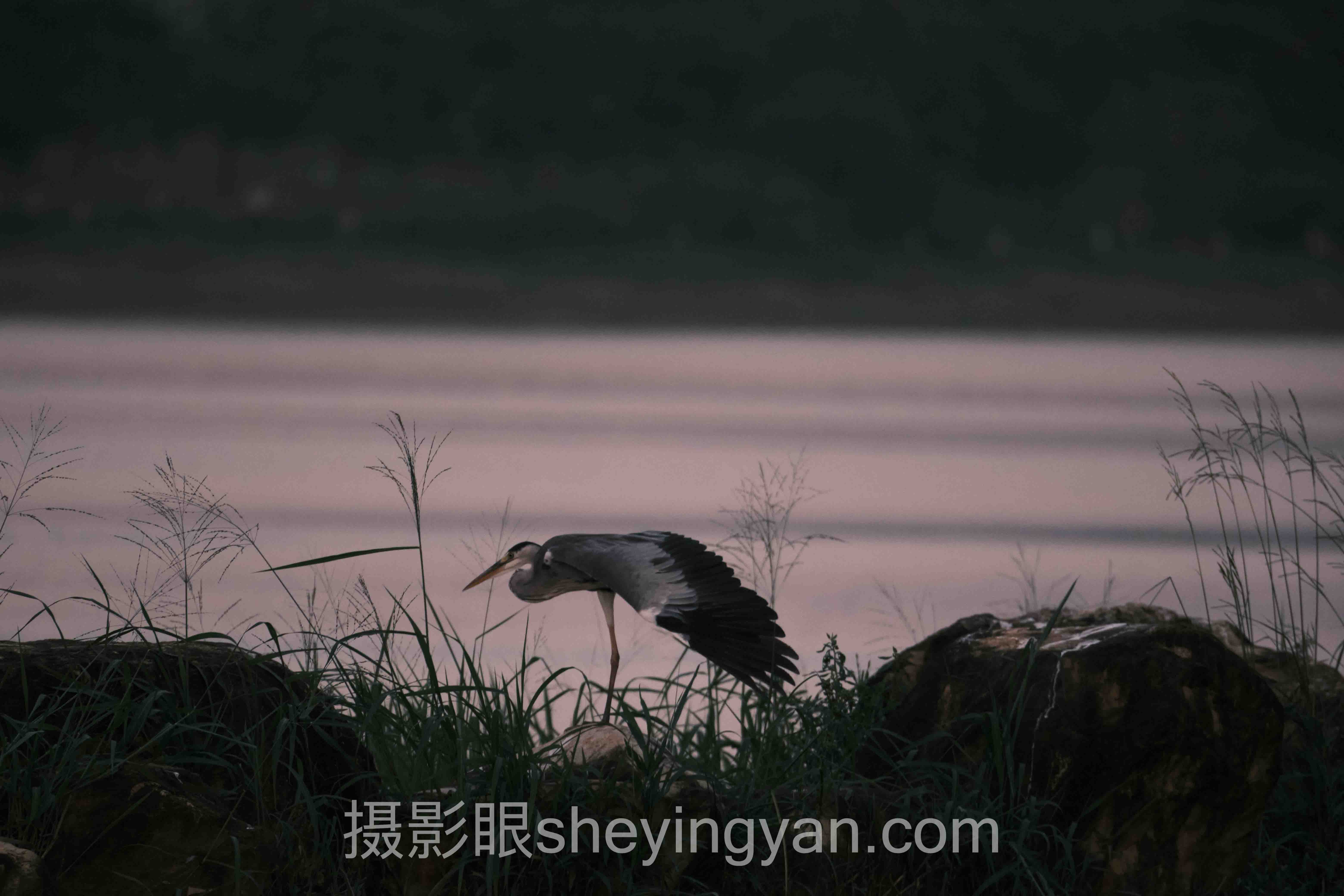 照片点评怎么做？3个实战案例告诉你答案