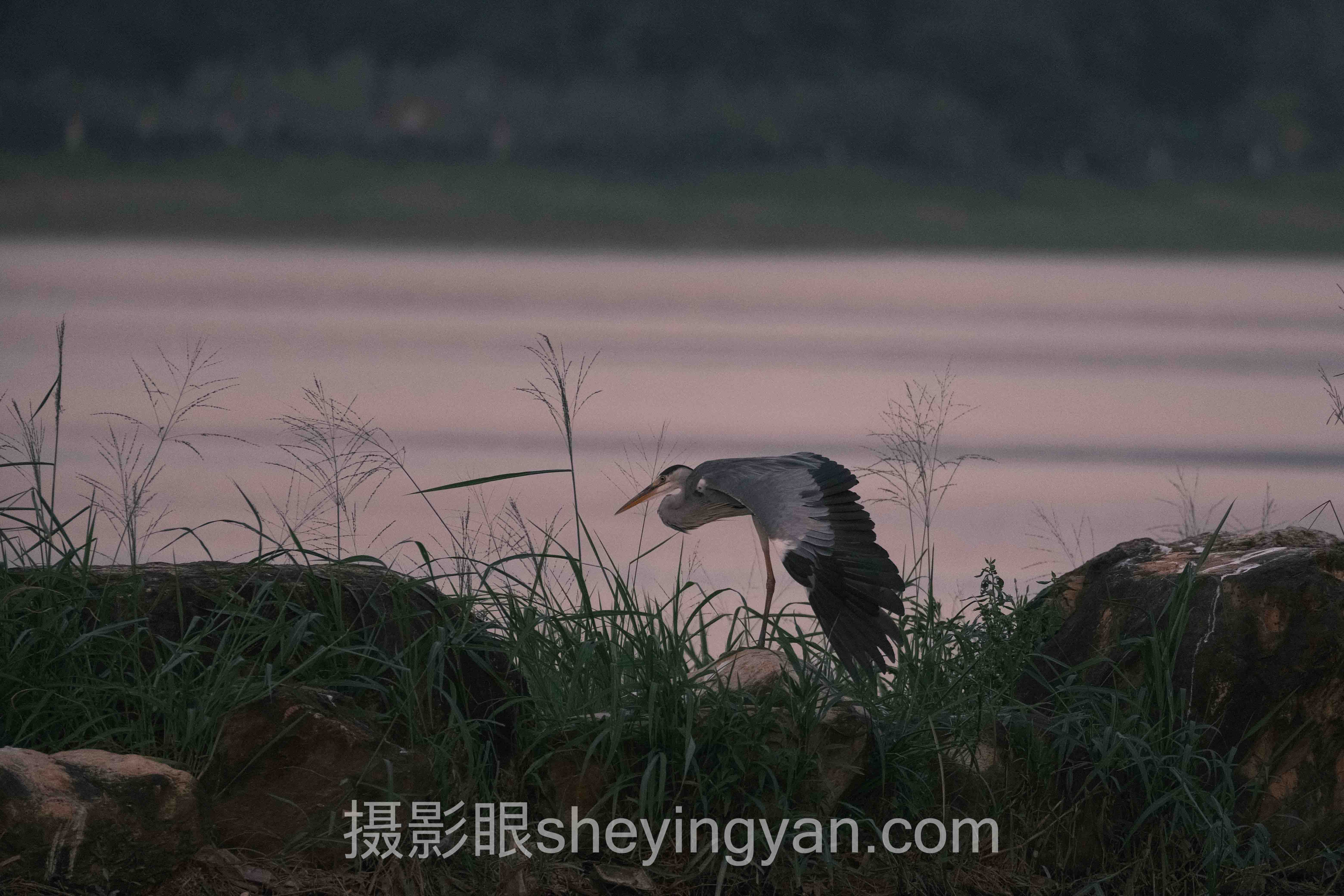 摄影点评网站排名深度分析：现状、挑战与未来趋势