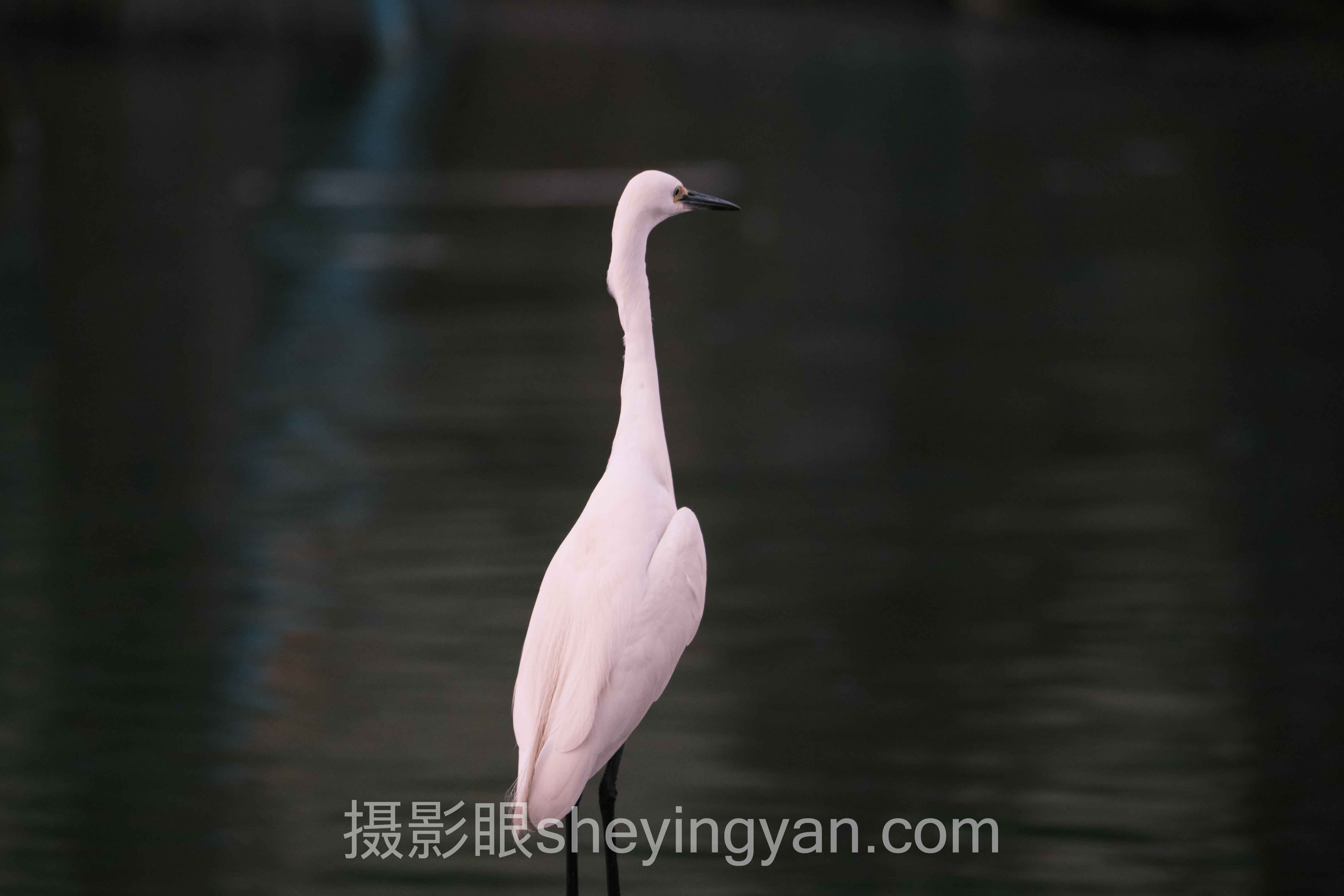 风光场景照片点评十人谈：多位专家的核心观点汇总