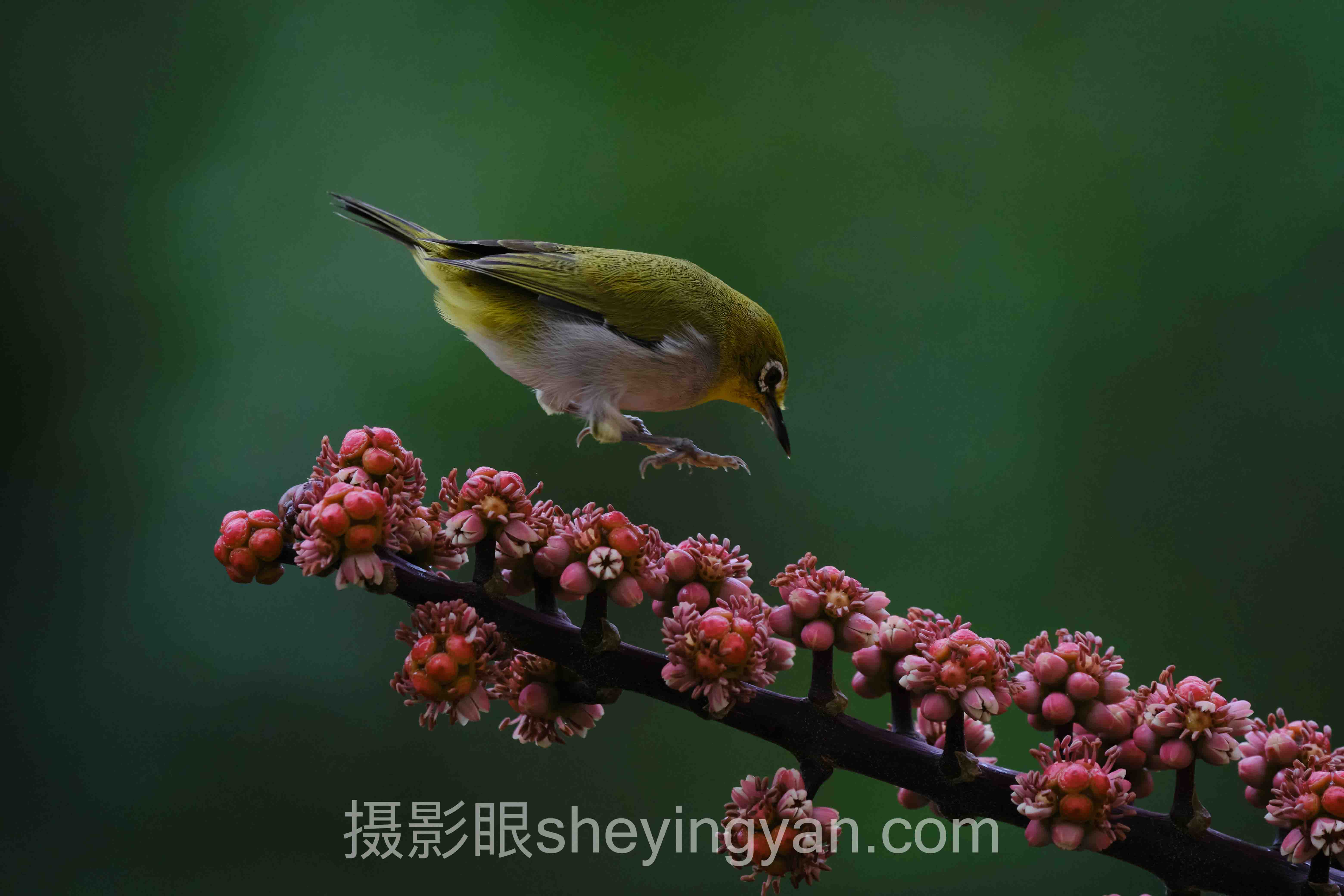 专业摄影照片点评：7个被忽略的底层判断逻辑