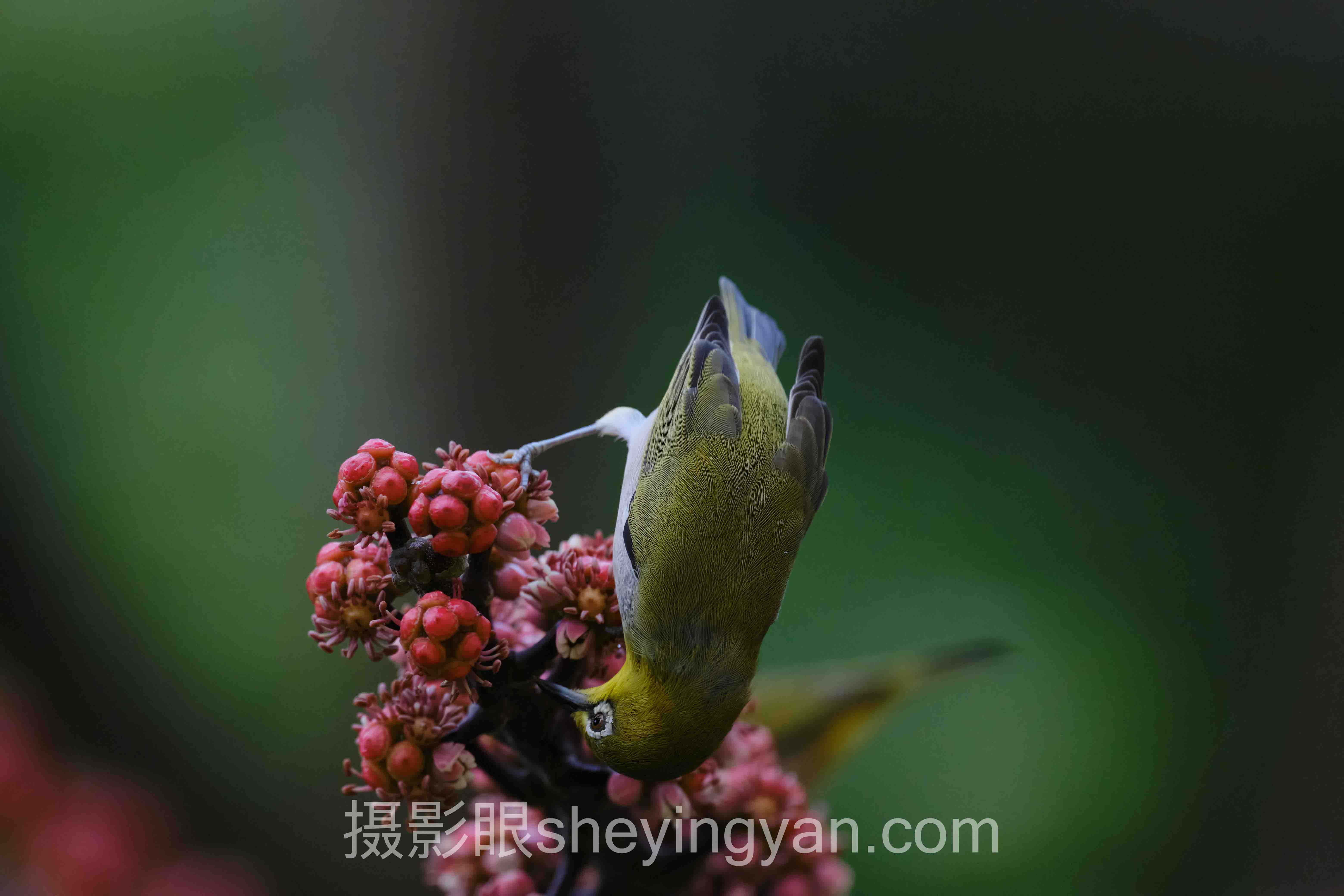 摄影构图书籍排行：从入门到精通的终极指南