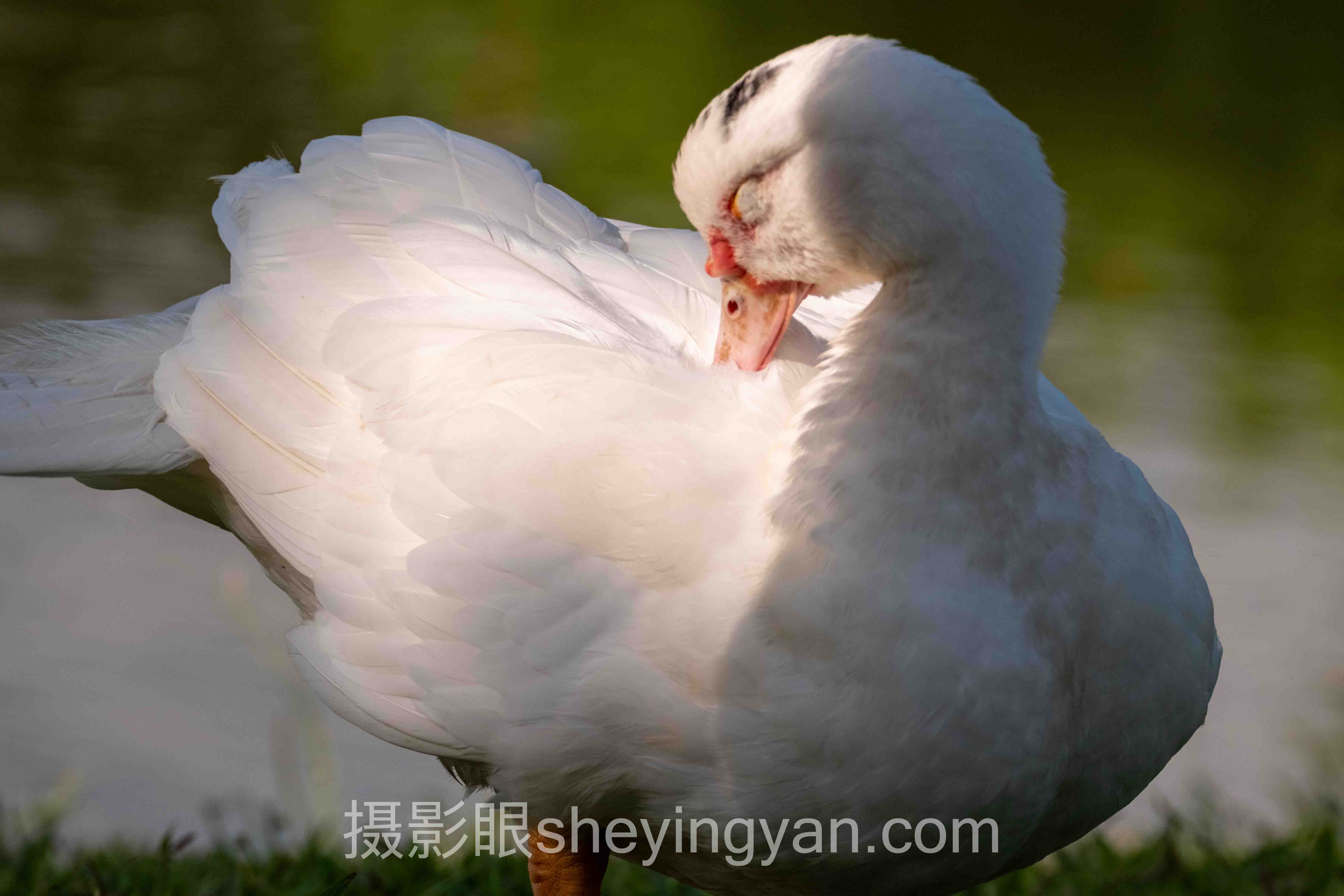 照片对比学习怎么做？3个案例告诉你答案