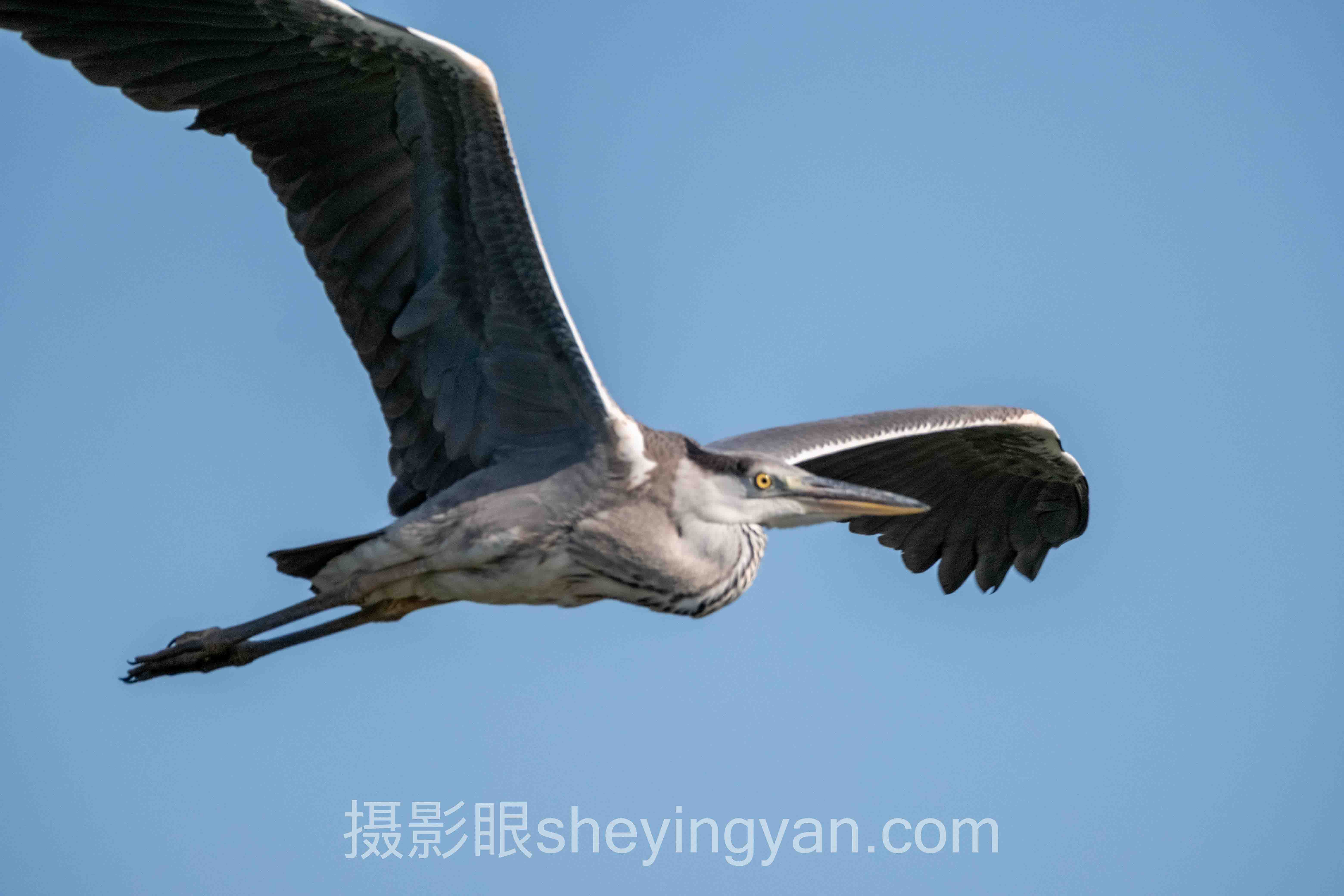 摄影眼官网sheyingyan.com注册：邮箱直登 vs 手机验证，谁更省心？