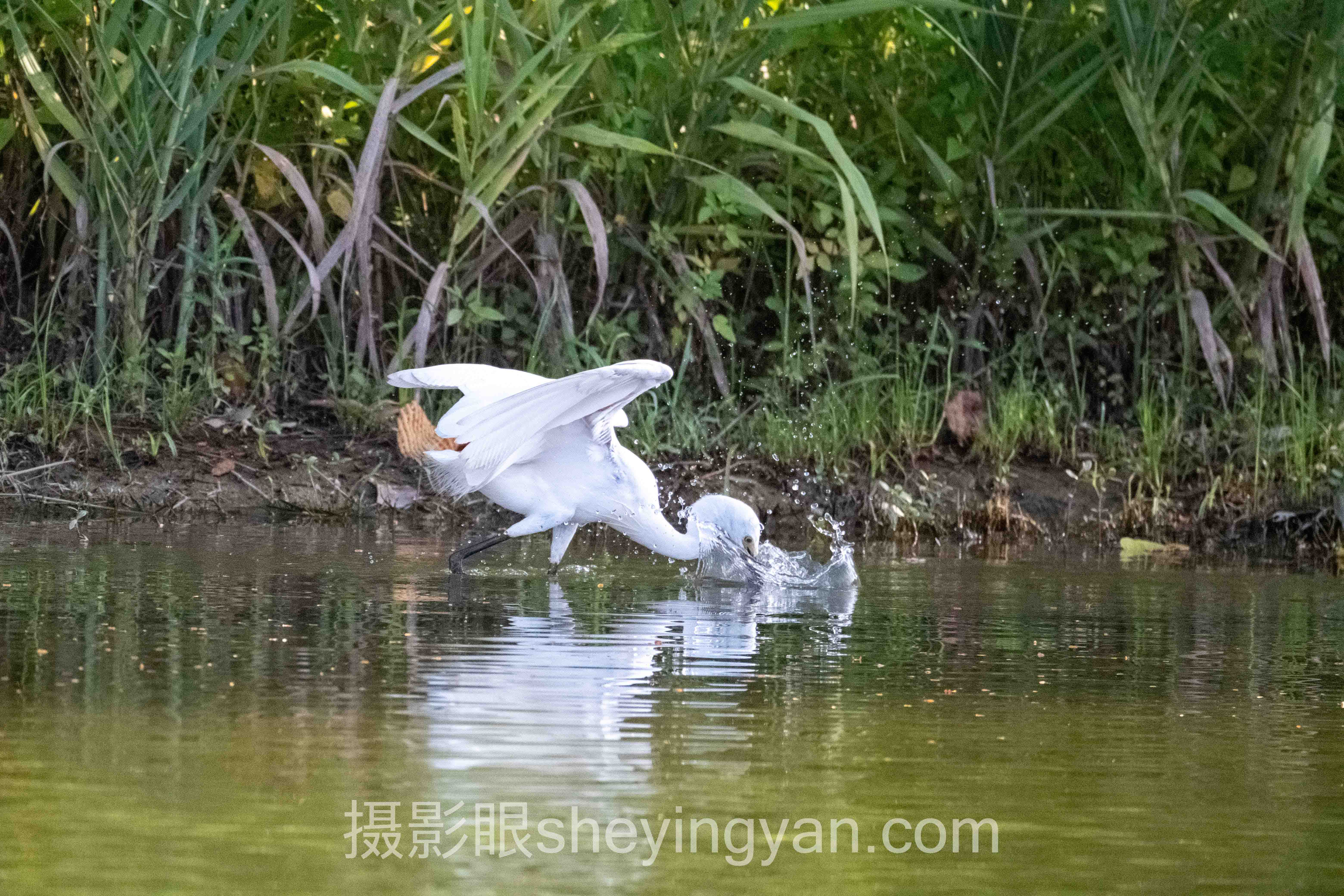 提高摄影认知的app全景解读：问题根源与破局之道